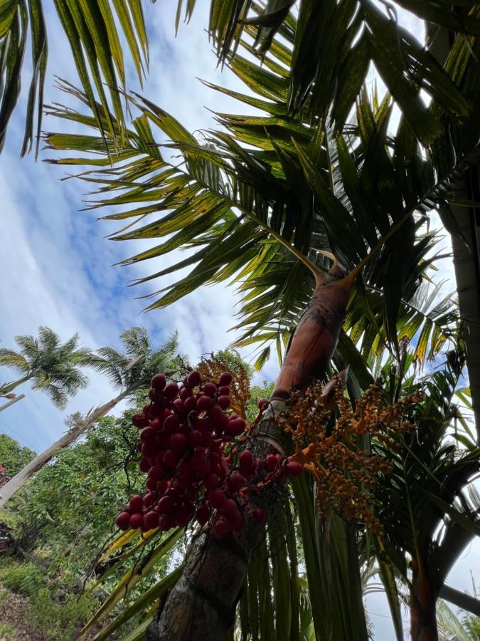 Willa Hawaii Getaway Holualoa Zewnętrze zdjęcie
